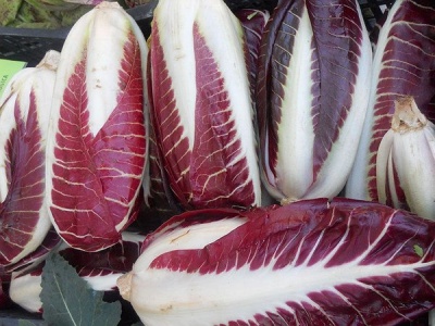 Radicchio lungo rosso precoce: foto dal sito della cooperativa Cares?