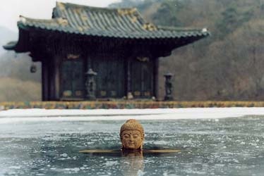 Testa di budda