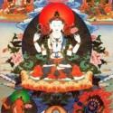 Il Lama dalle cinque saggezze
